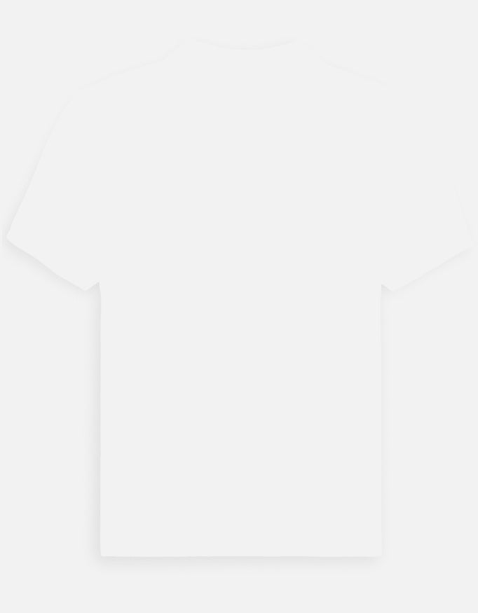 Back_3_c_4.jpg